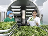 Các Phương Pháp Chế Biến Nông Sản Giữ Chất Lượng Tốt Nhất